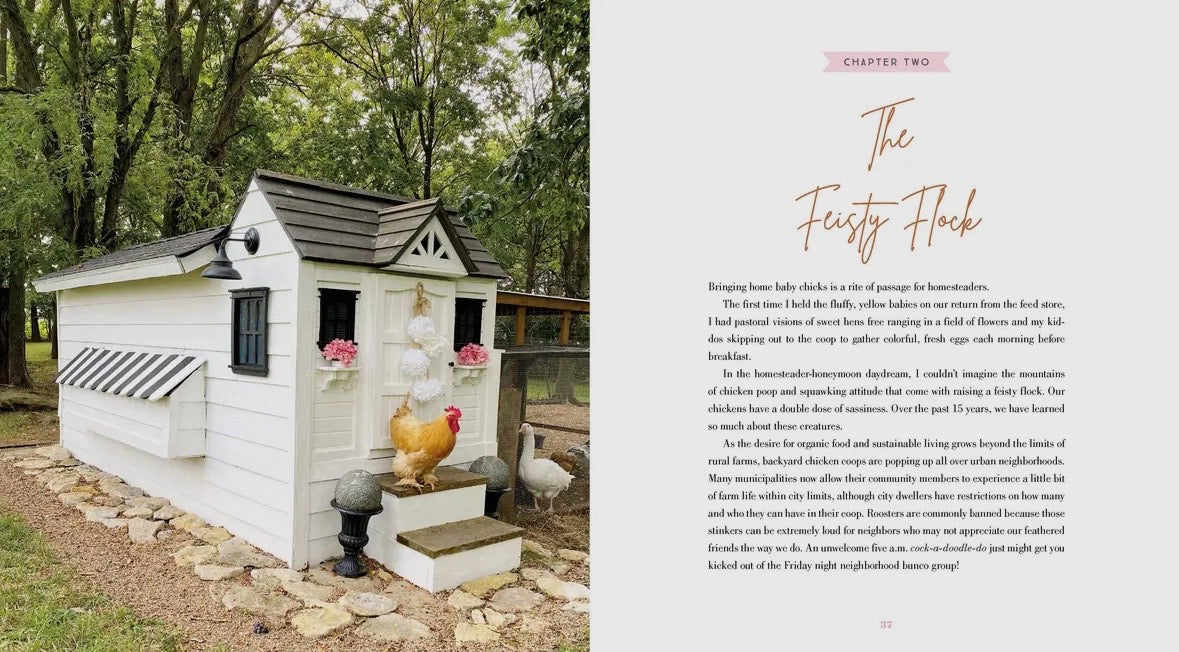 The Grace-Filled Homestead by Lana Stenner