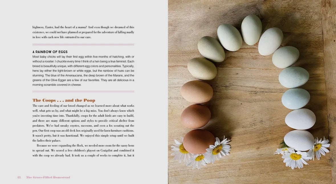 The Grace-Filled Homestead by Lana Stenner