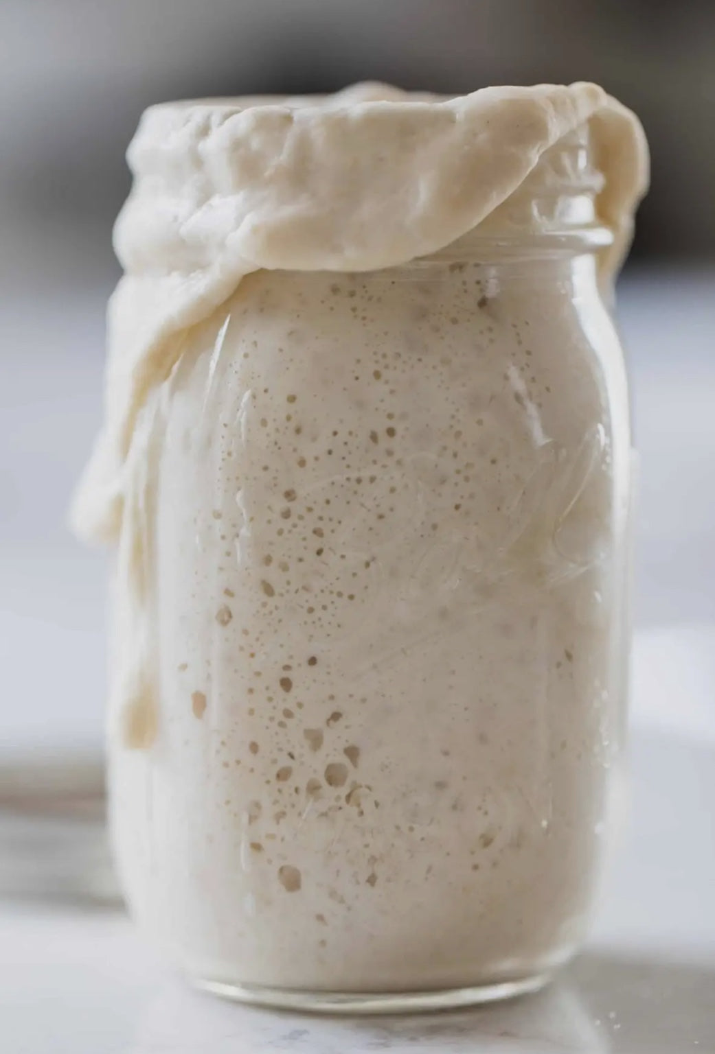 Organic Sourdough Starter-Freeze Dried