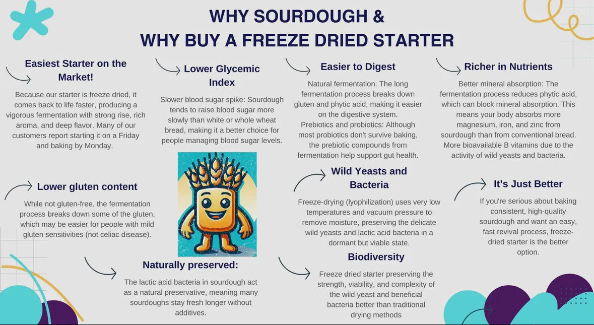 Organic Sourdough Starter-Freeze Dried