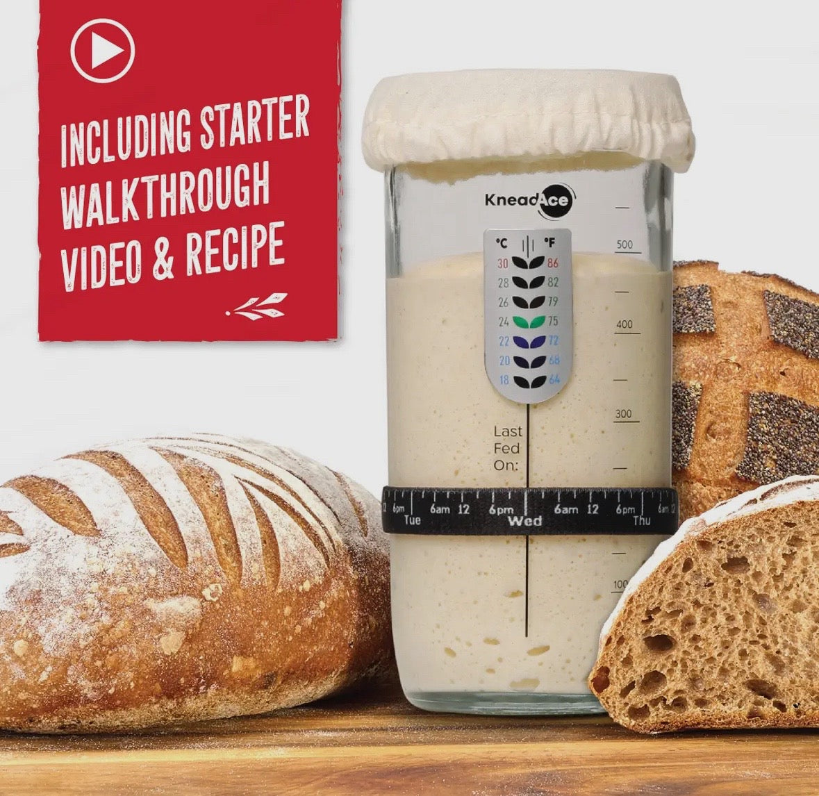 KneadAce Sourdough Starter Jar-Limited Holiday Edition